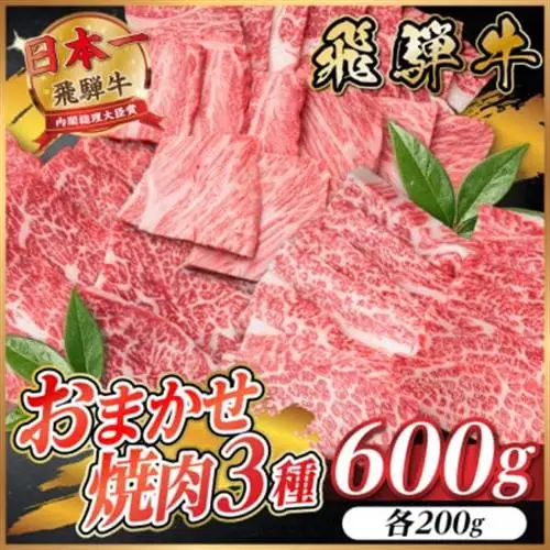 飛騨牛　おまかせ焼肉3種セット約600g(各約200g)訳あり【配送不可地域：離島】【1739032】