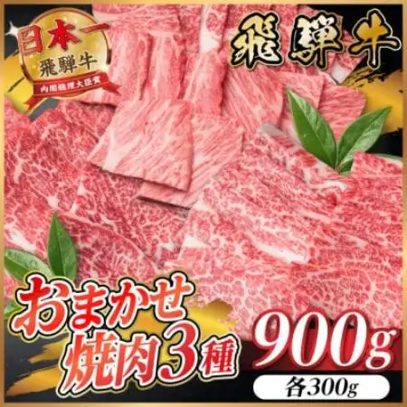 飛騨牛　おまかせ焼肉3種セット約900g(各約300g)訳あり　BBQ　上カルビ・ロースなど【配送不可地域：離島】【1739037】
