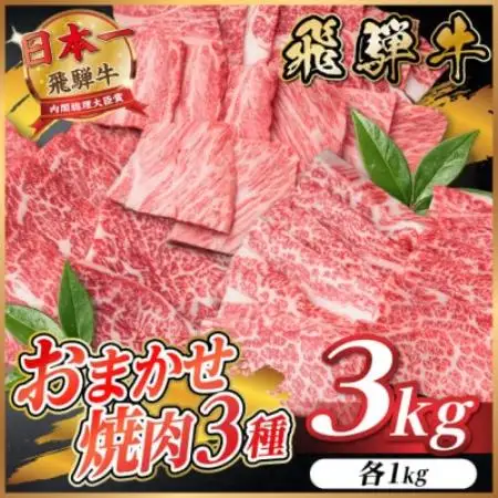飛騨牛　おまかせ焼肉3種セット約3kg(各約1kg)訳あり　BBQ　上カルビ・ロースなど【配送不可地域：離島】【1739048】