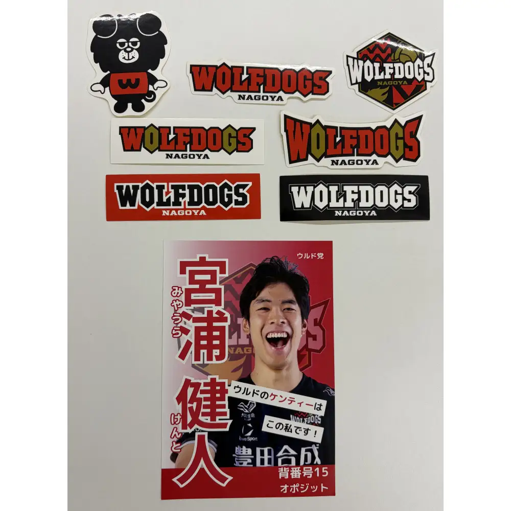 宮浦選手サイン入りポストカードとウルフドッグス名古屋ダイカットステッカーセット！【トップスポーツチーム活動支援事業寄附金専用】