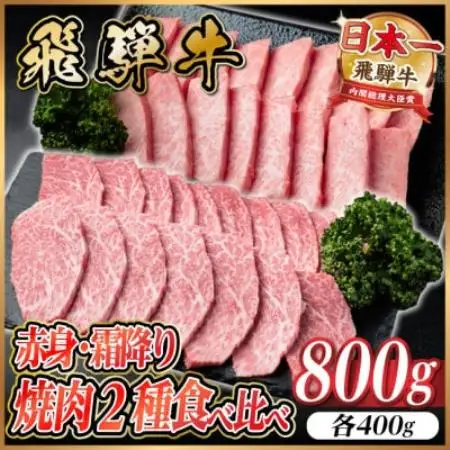 飛騨牛　赤身・霜降り焼肉2種食べ比べセット(ヒレ・三角バラカルビ)　計800g(各400g)タレ付き【配送不可地域：離島】【1745788】