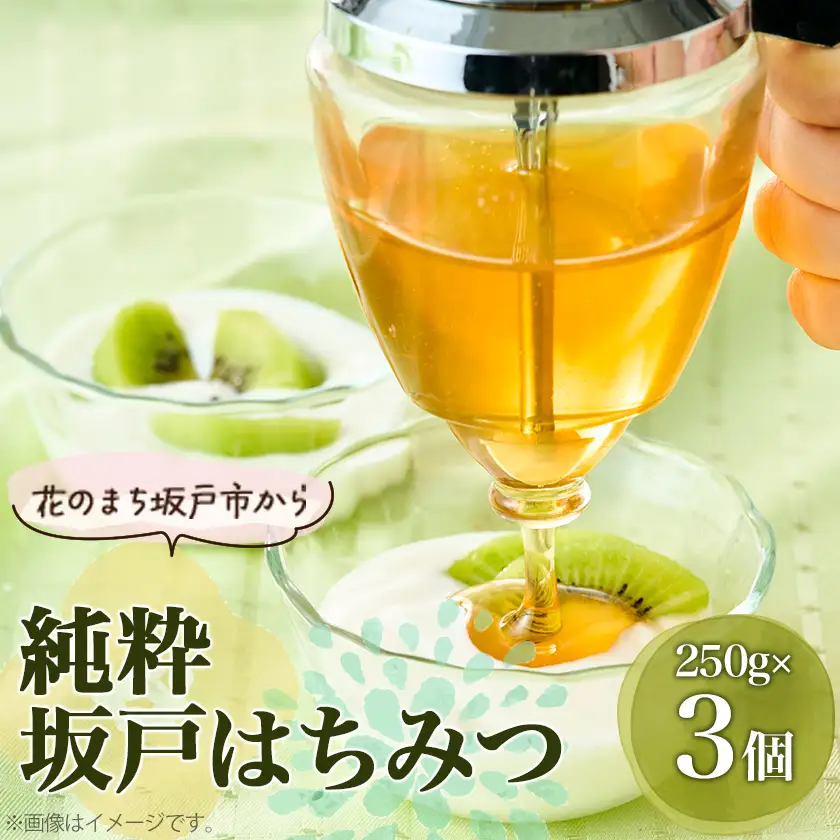 純粋坂戸はちみつ750g(250g×3個)【1743314】