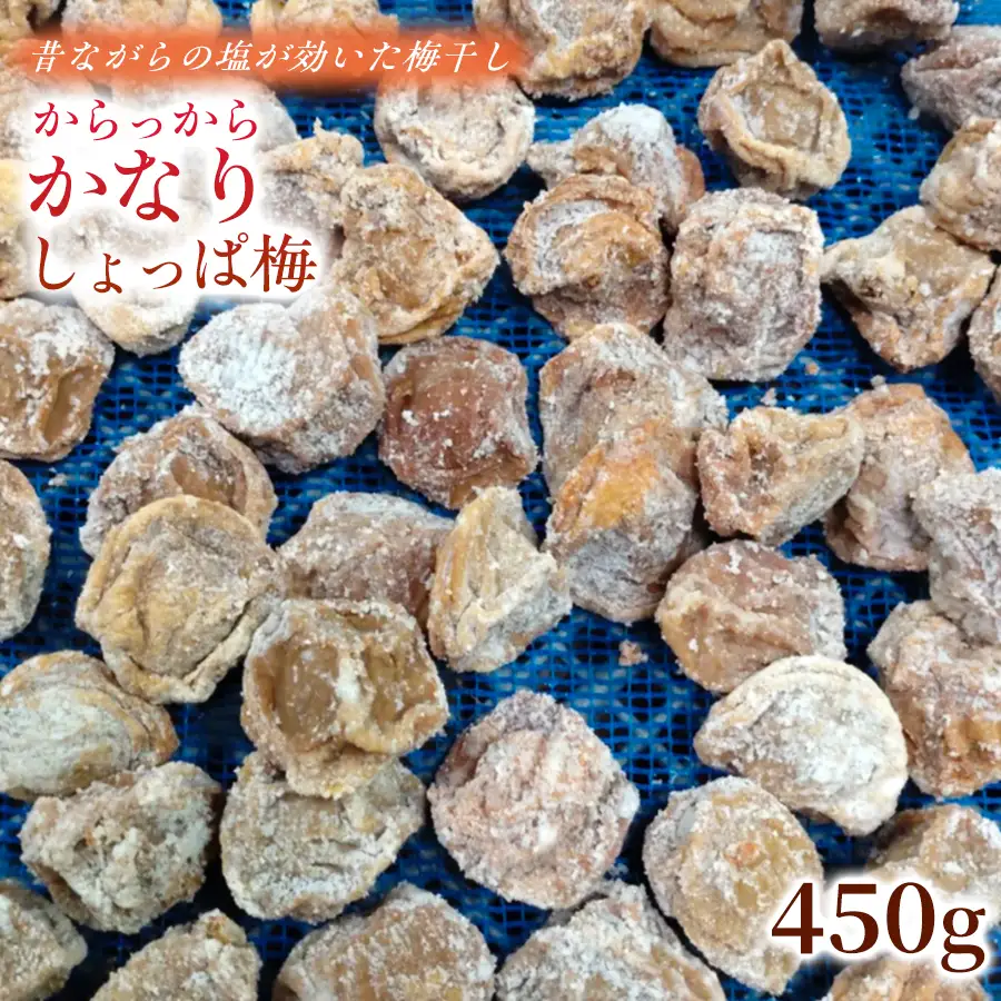 【2026年6月以降発送予定】 昔ながらの塩が効いた梅干し からっからかなりしょっぱ梅（450g） ｜梅干し 梅干 無添加 無着色 自家栽培 国産 みなべ産 手作り こだわり 家庭用【ktok008】