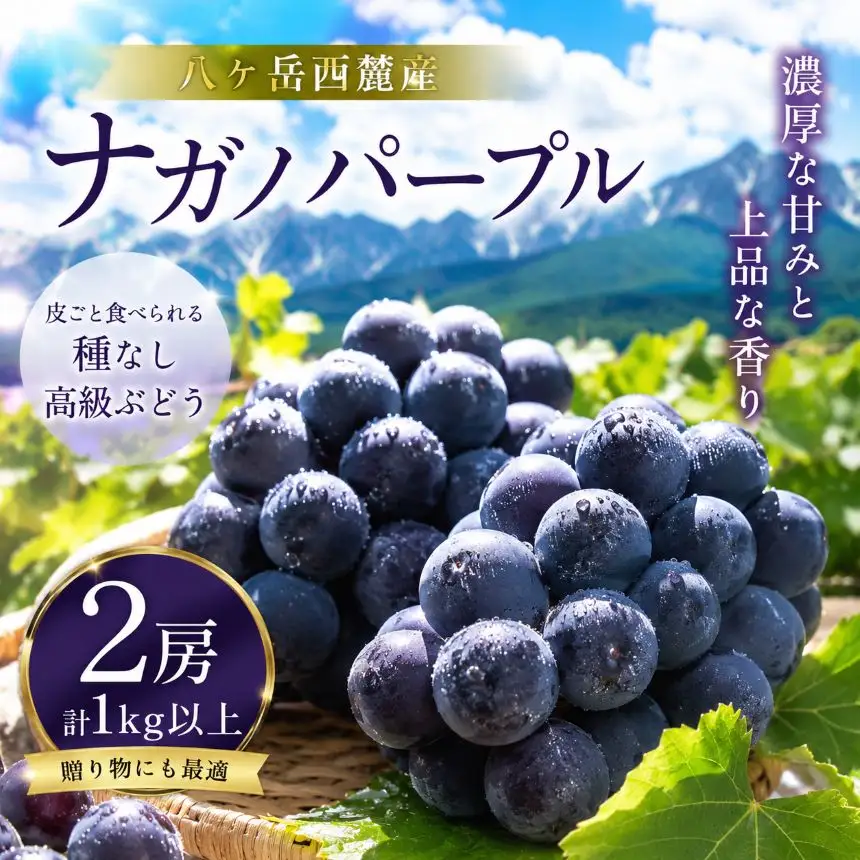 八ヶ岳西麓産 ナガノパープル 2房（計1kg以上）【2026年9月中旬～発送】