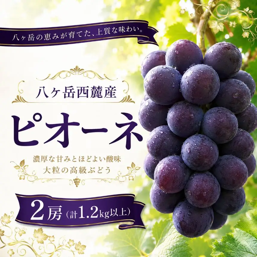 八ヶ岳西麓産 ピオーネ 2房（計1.2kg以上）【2026年10月上旬～発送】