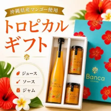 【化粧箱入り】沖縄マンゴー使用!トロピカルギフトセット【1742771】