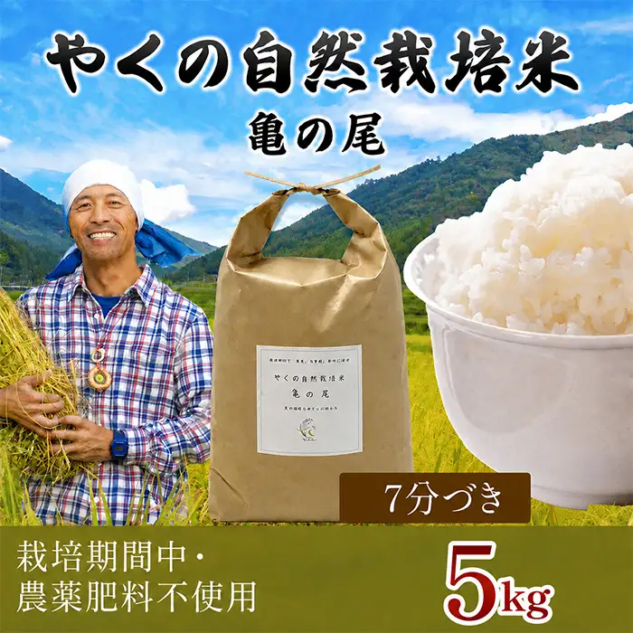 米 精米 令和8年産 先行予約 やくの自然栽培米 亀の尾 7分づき  5kg ゆたか（ゆたか自然農園）