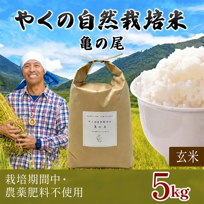 令和8年産 先行予約 やくの自然栽培米 亀の尾 玄米 5kg ゆたか（ゆたか自然農園）
