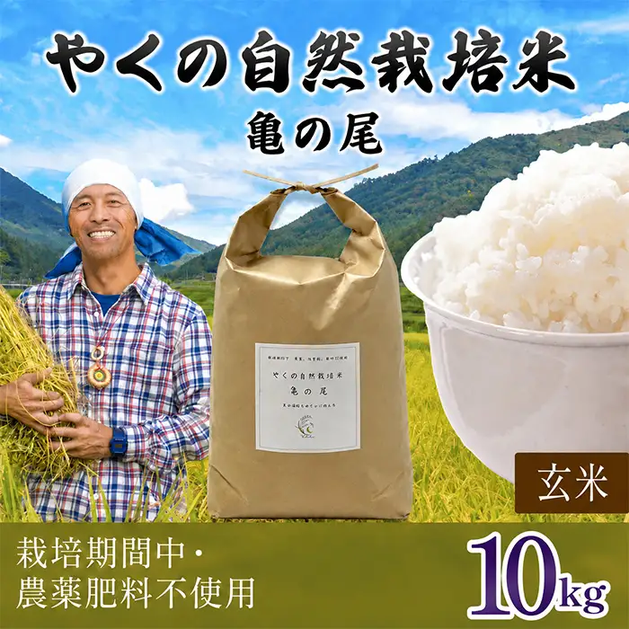 令和8年産 先行予約 やくの自然栽培米 亀の尾 玄米 10kg ゆたか（ゆたか自然農園）