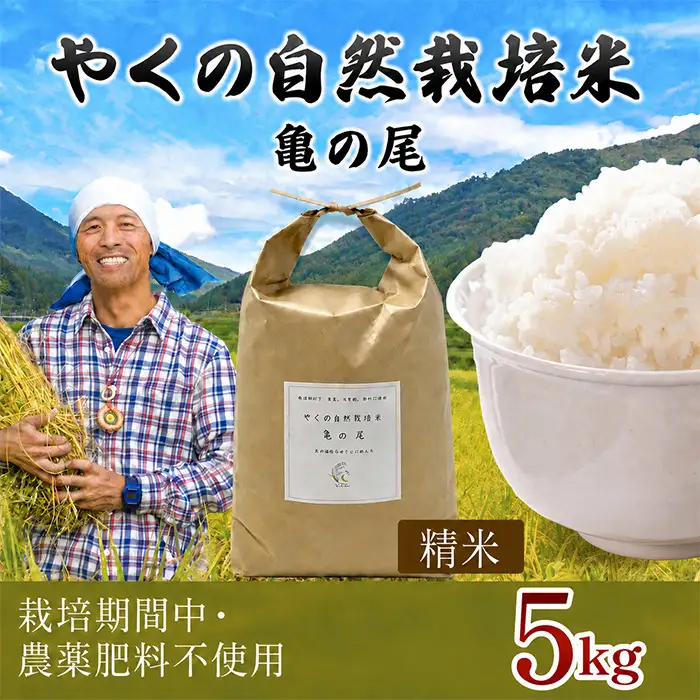 令和8年産 先行予約 やくの自然栽培米 亀の尾 白米 5kg ゆたか（ゆたか自然農園）