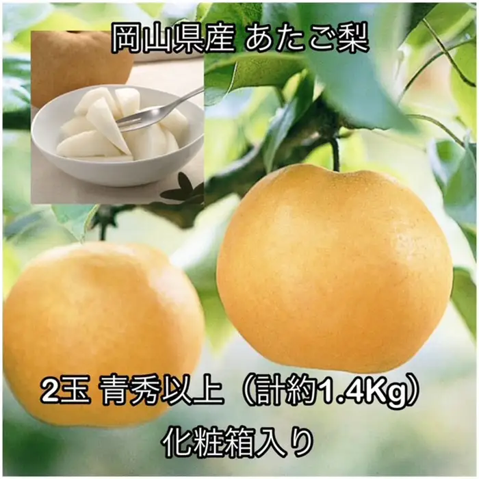 あたご梨 2玉 青秀以上 (約1.4kg )化粧箱入り 岡山県産