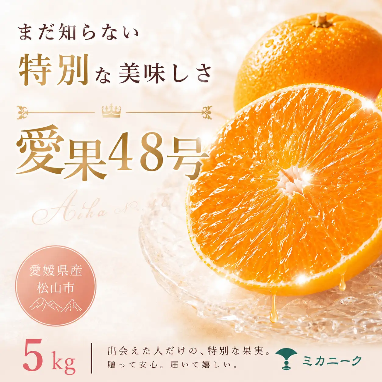 【2027年2月下旬頃から順次発送】あいか48号 家庭用 5kg | みかん 愛果48号 あいか  蜜柑 アイカ 柑橘 果物 愛媛のみかん くだもの 贈答 フルーツ ご家庭用 数量限定 愛媛県産 ミカン 愛媛県 松山市 【MKN0071】