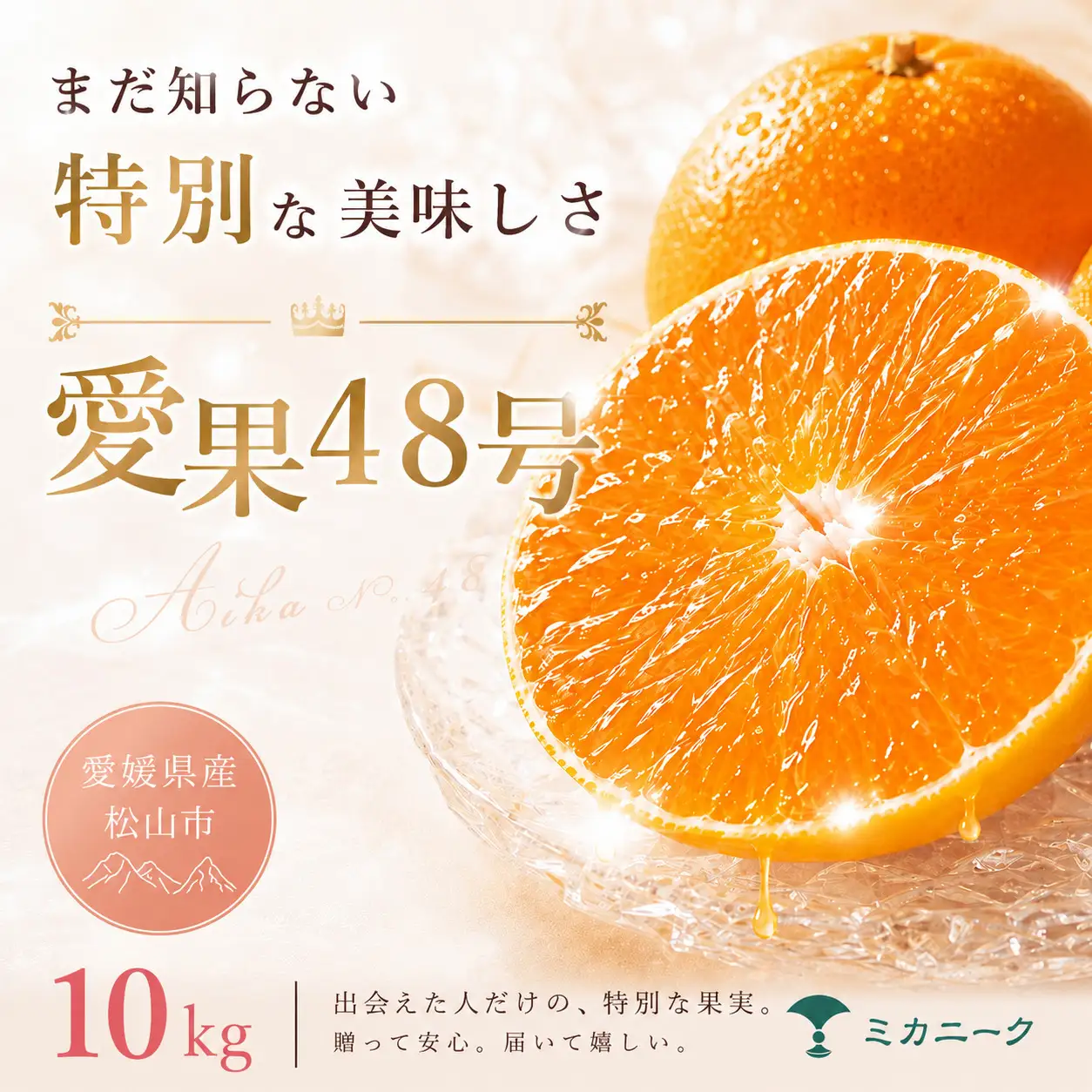 【2027年2月下旬頃から順次発送】あいか48号 家庭用 10kg | みかん 愛果48号 あいか  蜜柑 アイカ 柑橘 果物 愛媛のみかん くだもの 贈答 フルーツ ご家庭用 数量限定 愛媛県産 ミカン 愛媛県 松山市 【MKN0081】