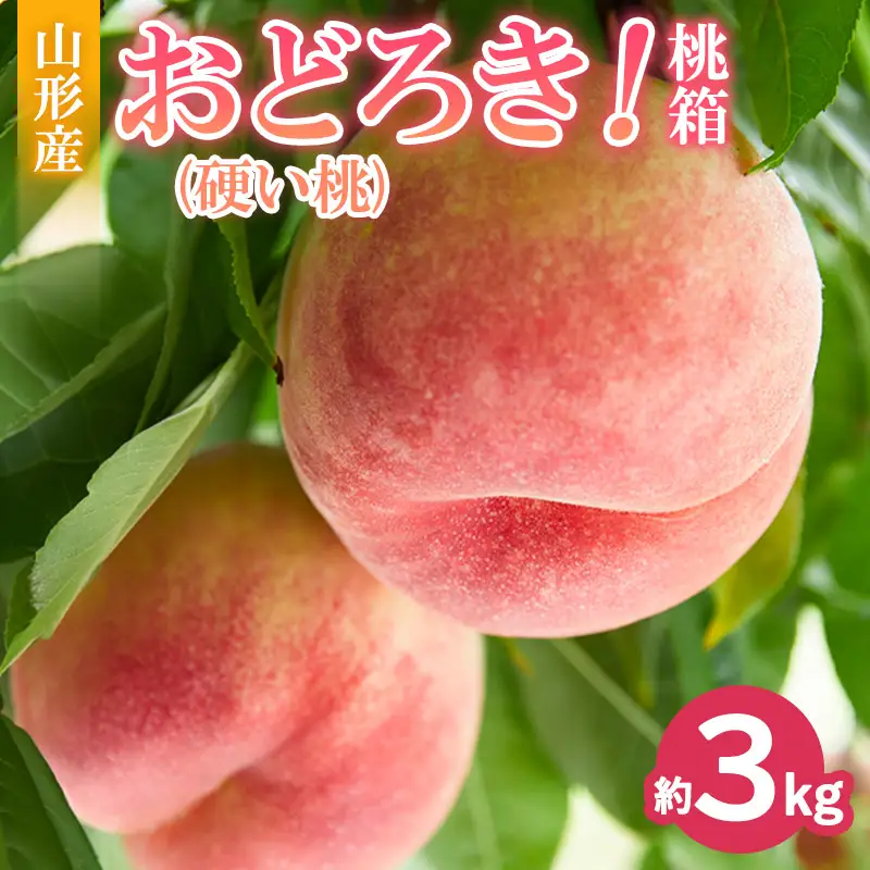 おどろき！桃箱(硬い桃 約3kg) FY26-170