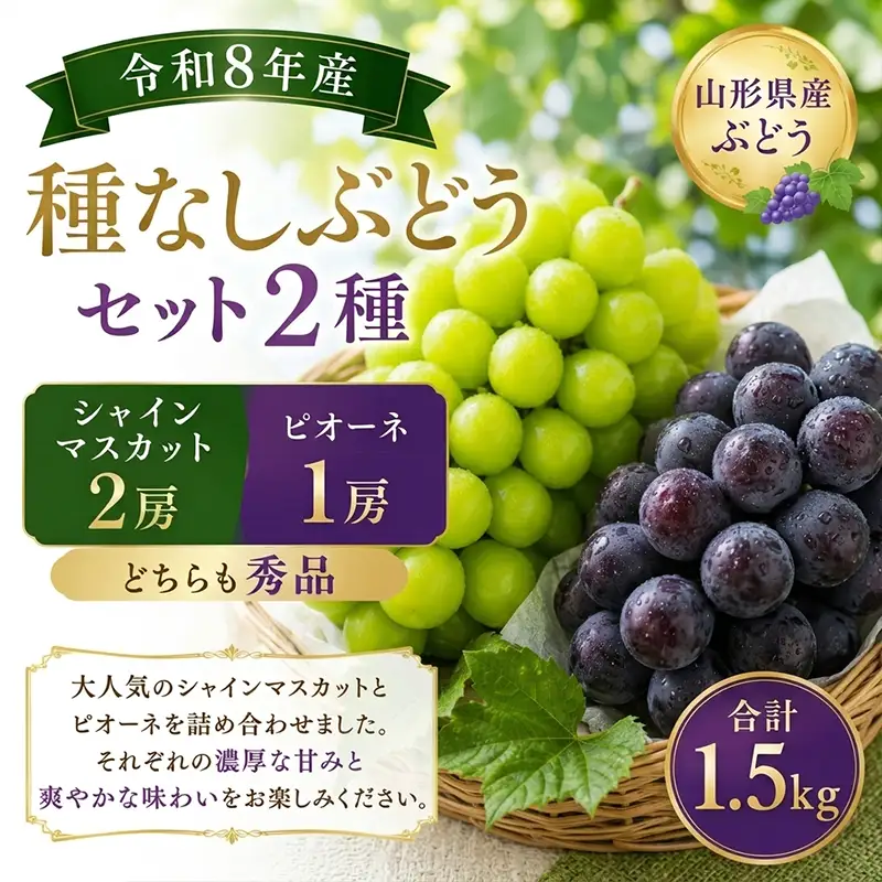 山形産 種なしぶどうセット2種 (シャインマスカット2房とピオーネ1房)秀品 合計1.5k g FY26-173