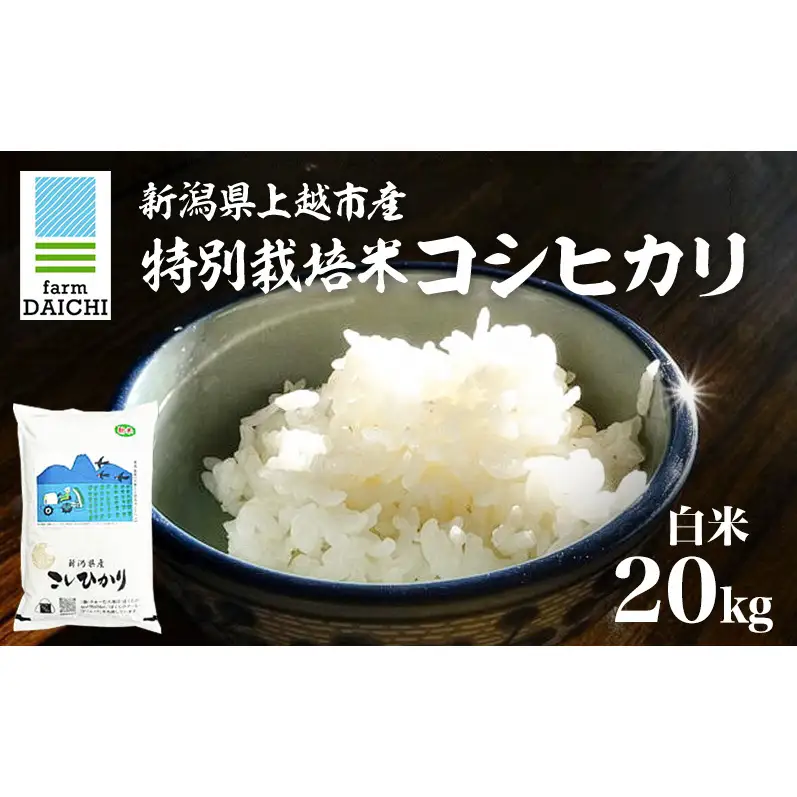令和7年 新潟県上越市産 特別栽培米 コシヒカリ 20kg （5kg×4袋）お米 コメ こしひかり ふぁーむ大地