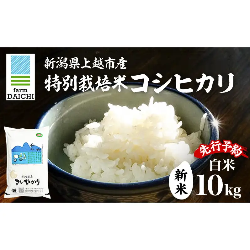 先行予約 令和8年 新米 新潟県上越市産 特別栽培米 コシヒカリ 10kg （5kg×2袋）お米 コメ こしひかり ふぁーむ大地