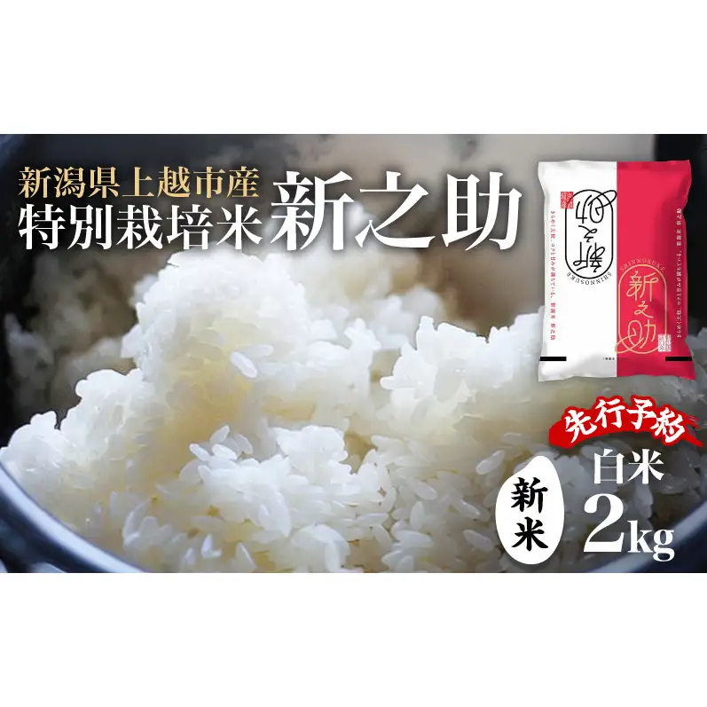 【先行予約】特別栽培米 新之助 2kg ふぁーむ大地 新之助