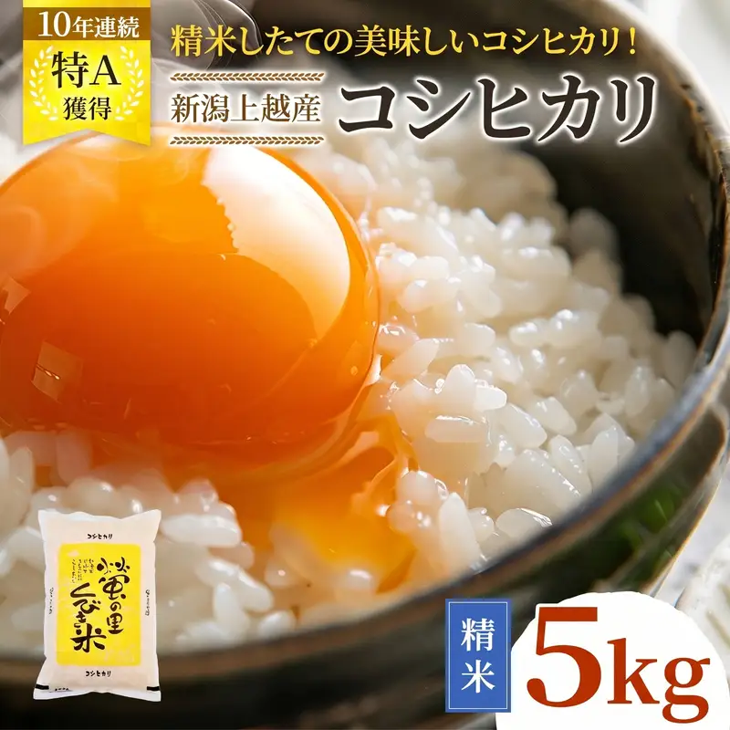 令和8年産 【10月配送】 新潟県上越市産 コシヒカリ 5kg 先行予約 新米 蛍の里