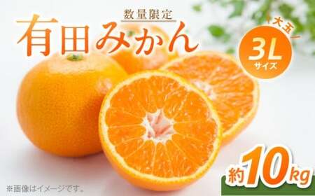 【2026年先行予約】 有田みかん 大玉 3Lサイズ 10kg 【ミカン 蜜柑 柑橘 温州みかん 有田みかん 和歌山】_BF6012n