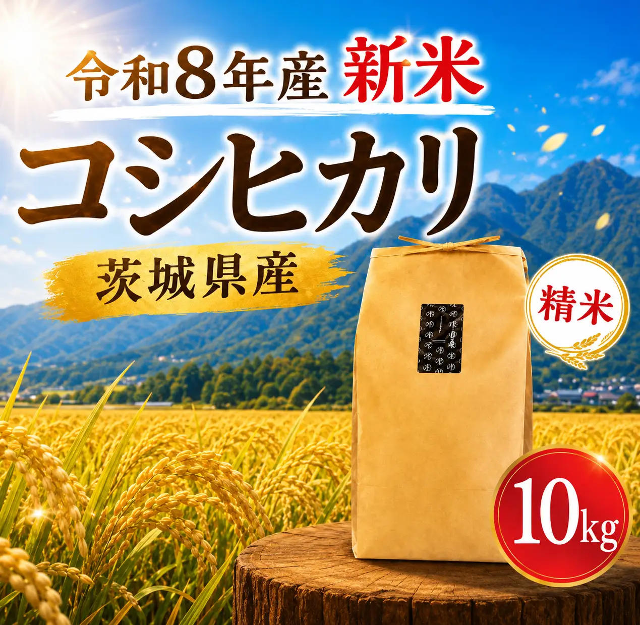 【新米予約】 コシヒカリ 精米 10kg 先行予約 令和8年 新米 米
