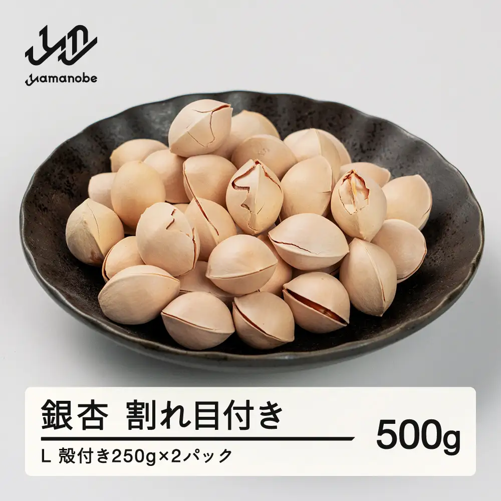 《先行予約》2026年 山形県産 銀杏 割れ目付き L 約500g（250g×2パック） 2026年10月上旬から順次発送 ぎんなん おつまみ 個包装 小分け 秋 野菜 it-giwlx500