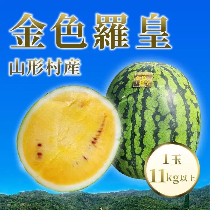 山形村産 金色羅皇 1玉（11kg以上）中川農園 3217