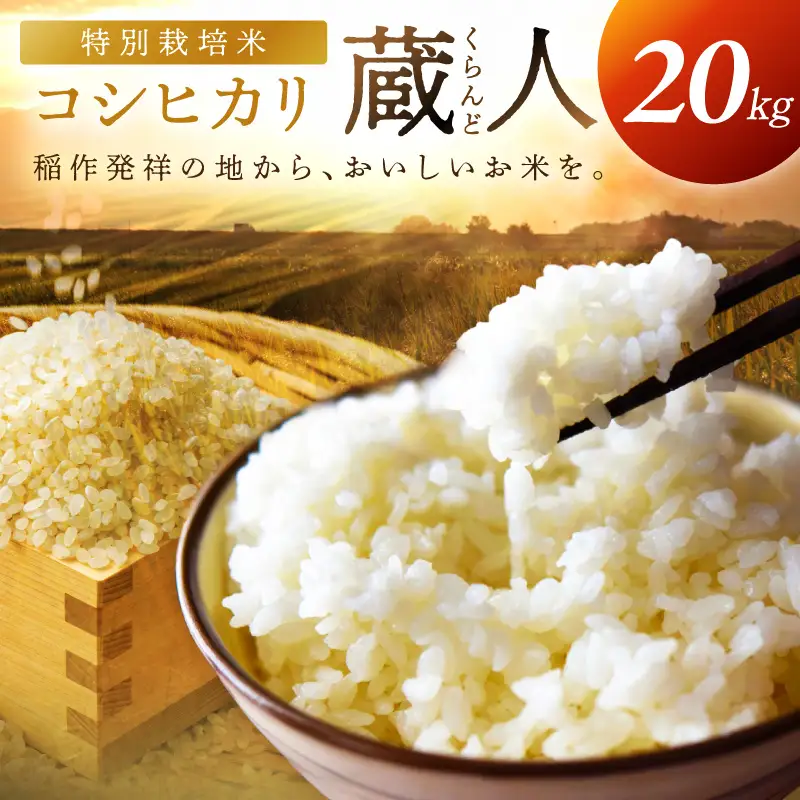 令和8年産 特別栽培米コシヒカリ 蔵人（くらんど） 精米20kg 特別栽培米 コシヒカリ 蔵人 おこめ 京都産 ふるさと納税 精米 ふるさと納税 コシヒカリ こしひかり