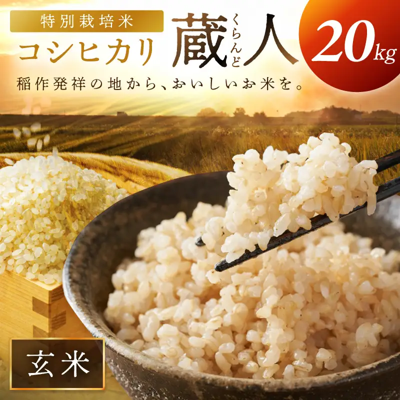 令和8年産 特別栽培米コシヒカリ 蔵人（くらんど） 玄米20kg 特別栽培米 コシヒカリ 蔵人 おこめ 京都産 ふるさと納税 玄米 ふるさと納税 コシヒカリ こしひかり
