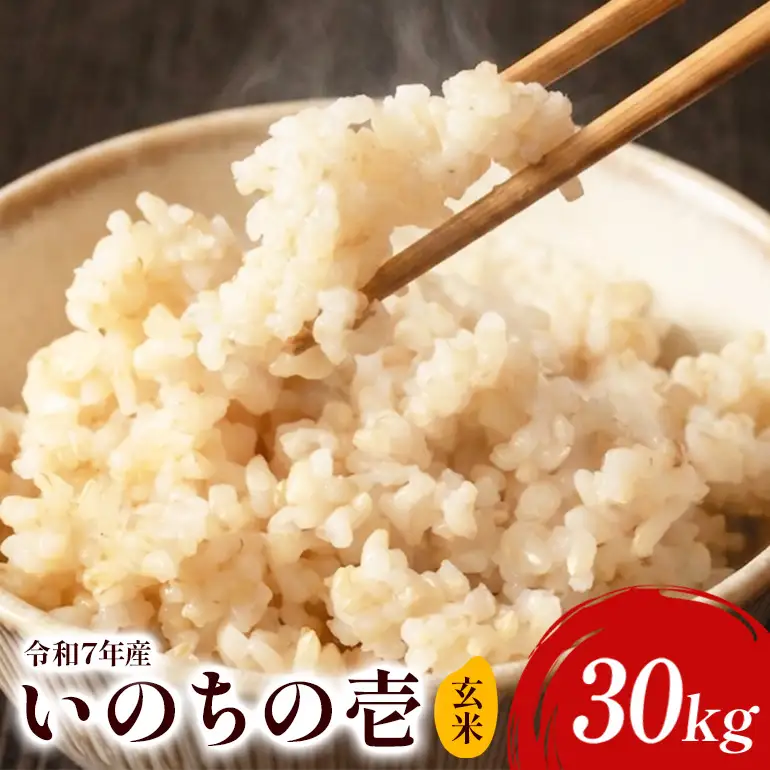 【令和７年産】いのちの壱（玄米）30kg B08-007