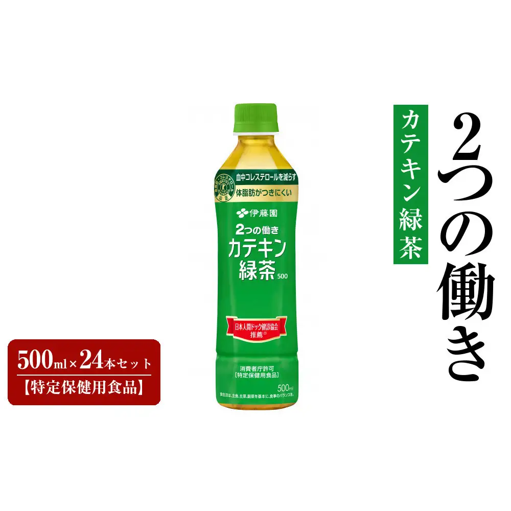 PET 2つの働きカテキン緑茶 500ml×24本セット【特定保健用食品】
