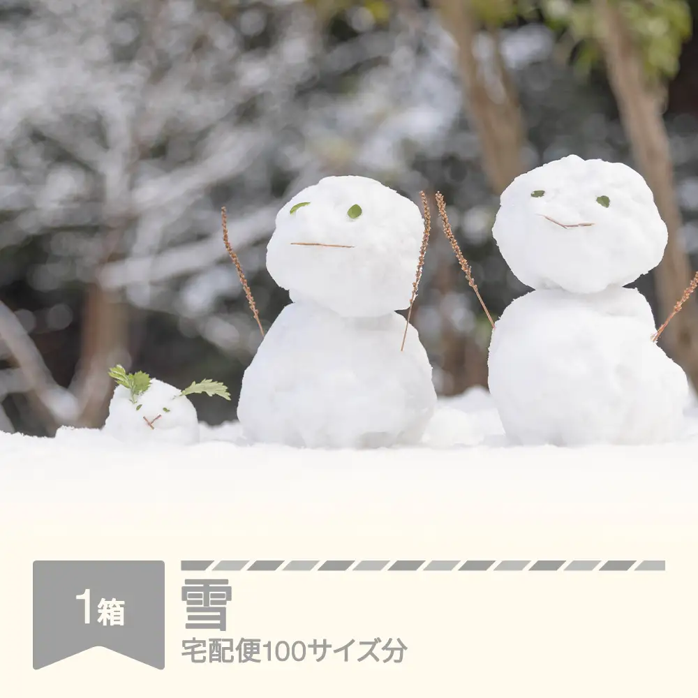 天然の雪 100サイズ分 rk-snxxx100