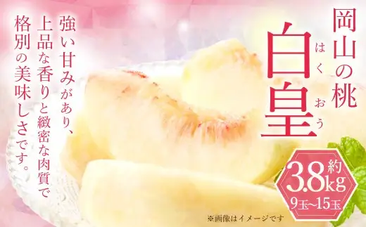 岡山の桃 白皇 9～15玉 （約3.8kg） 【2026年8月下旬～9月下旬発送予定】 新品種 糖度 香り 果実 くだもの 果物 フルーツ もも 桃 モモ ピーチ 国産 岡山県産 ブランド 甘み 肉質