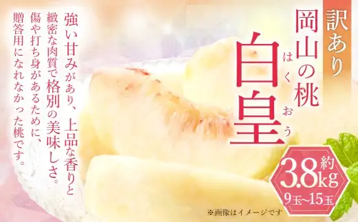 訳あり 白皇 9～15玉 （約3.8kg） 【2026年8月下旬～9月下旬発送予定】 家庭用 糖度 香り 果実 くだもの 果物 フルーツ もも 桃 モモ ピーチ 国産 岡山県産 ブランド 甘み 肉質 新品種