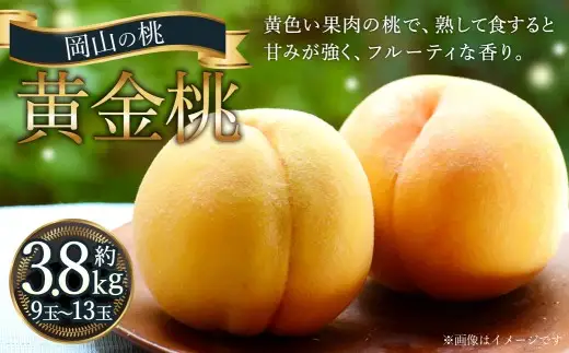 岡山の桃 黄金桃 9～13玉 （約3.8kg） 【2026年9月発送予定】 黄肉 糖度 香り 果実 食感 くだもの 果物 フルーツ もも 桃 モモ ピーチ 国産 岡山県産 ブランド 甘み