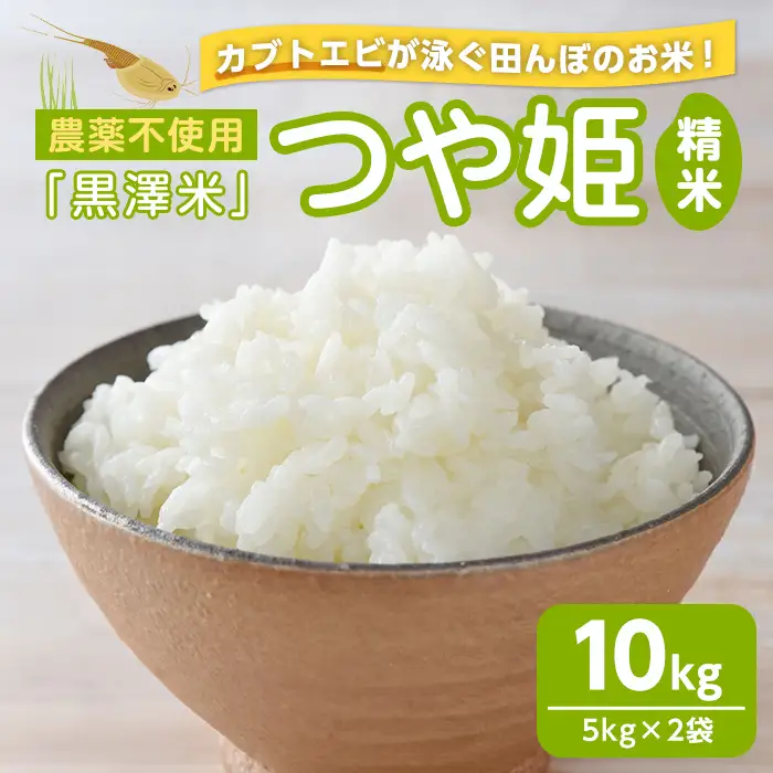 農薬不使用 つや姫 精米 10kg ＜カブトエビ田んぼで育てたお米＞ 黒澤米 宮城県登米市産 お米 おこめ 米 コメ 白米 ご飯 ごはん おにぎり お弁当 【株式会社天体】tm449