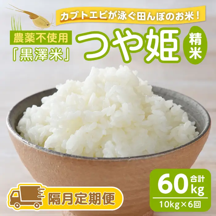 【隔月6回定期便】農薬不使用 つや姫 精米 合計60kg(10kg×6回)＜カブトエビ田んぼで育てたお米＞ 黒澤米 宮城県登米市産 お米 おこめ 米 コメ 白米 ご飯 ごはん おにぎり お弁当 頒布会 【株式会社天体】tm451