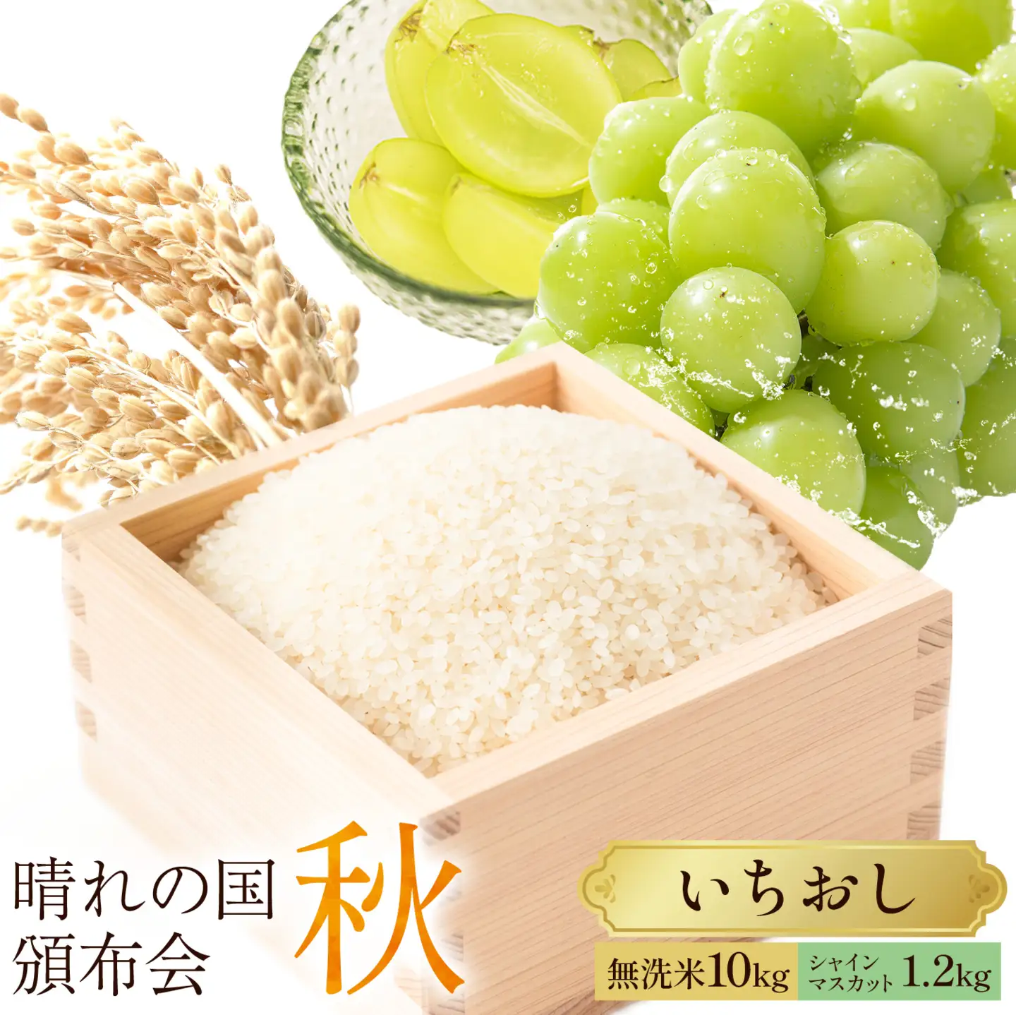 晴れの国頒布会 秋 いちおし 無洗米 10kg シャインマスカット 1.2kg