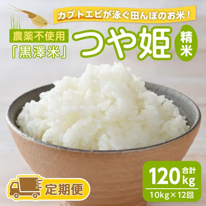 【12回定期便】農薬不使用 つや姫 精米 合計120kg(10kg×12回)＜カブトエビ田んぼで育てたお米＞ 黒澤米 宮城県登米市産 お米 おこめ 米 コメ 白米 ご飯 ごはん おにぎり お弁当 頒布会 【株式会社天体】tm454