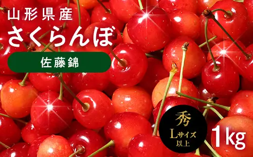 FYN6-619 ≪2027年先行予約≫山形県産 さくらんぼ 佐藤錦 1㎏(500g×2) 秀品 L以上 バラパック詰め 2027年6月中旬から順次発送 果物 くだもの フルーツ サクランボ チェリー 贈答 贈り物 ギフト プレゼント 自宅 家庭 産地直送 山形県 西川町 月山