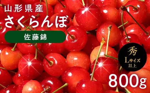 FYN6-618 ≪2027年先行予約≫山形県産 さくらんぼ 佐藤錦 800g(400g×2) 秀品 L以上 バラパック詰め 2027年6月中旬から順次発送 果物 くだもの フルーツ サクランボ チェリー 贈答 贈り物 ギフト プレゼント 自宅 家庭 産地直送 山形県 西川町 月山