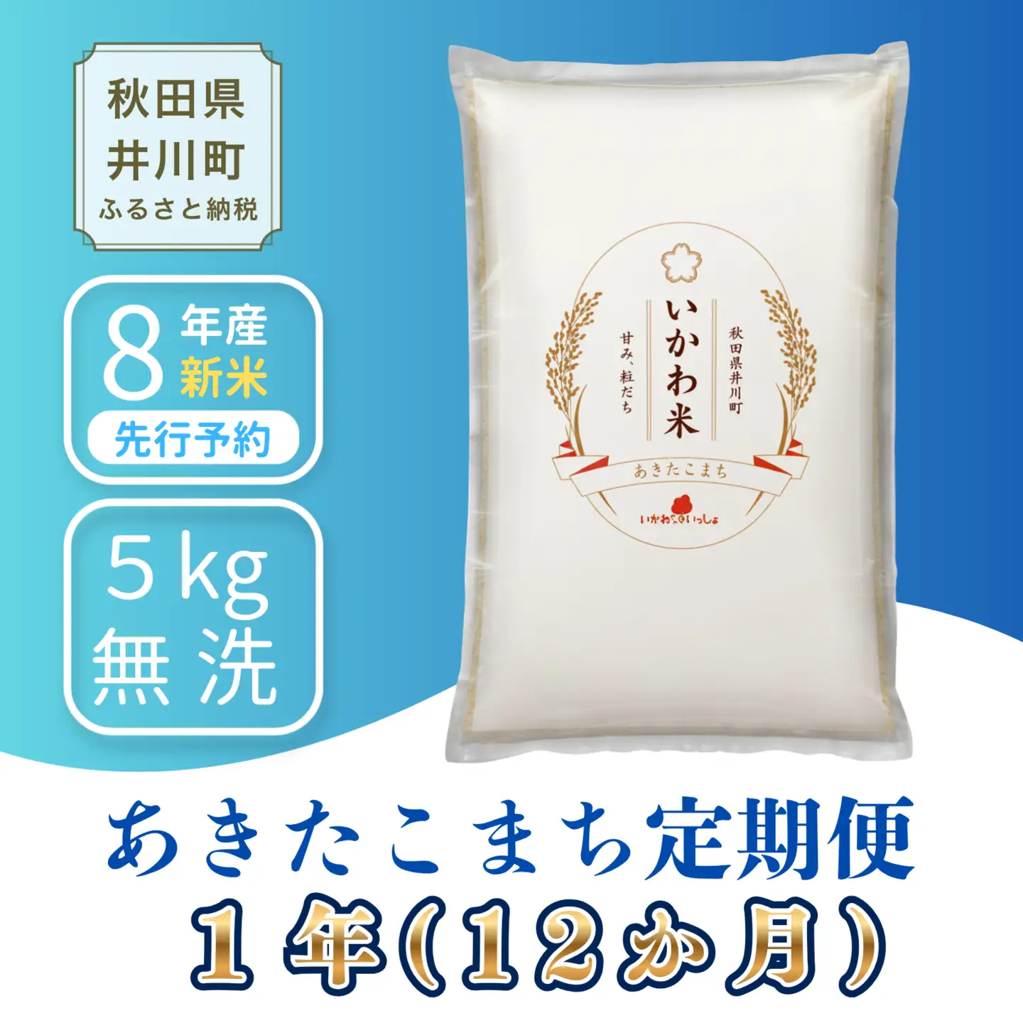 【12か月定期便】あきたこまち 5kg 令和8年産 無洗米 あきたこまち