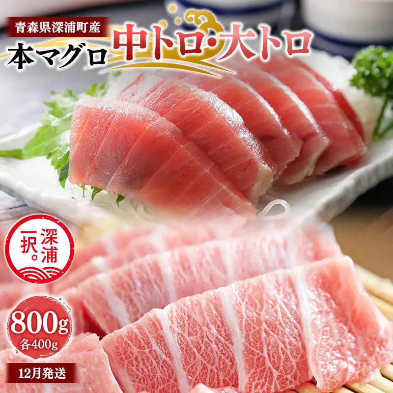  天然本マグロ 中トロ 大トロ 800g 各400g 【fu-0015-025_12】