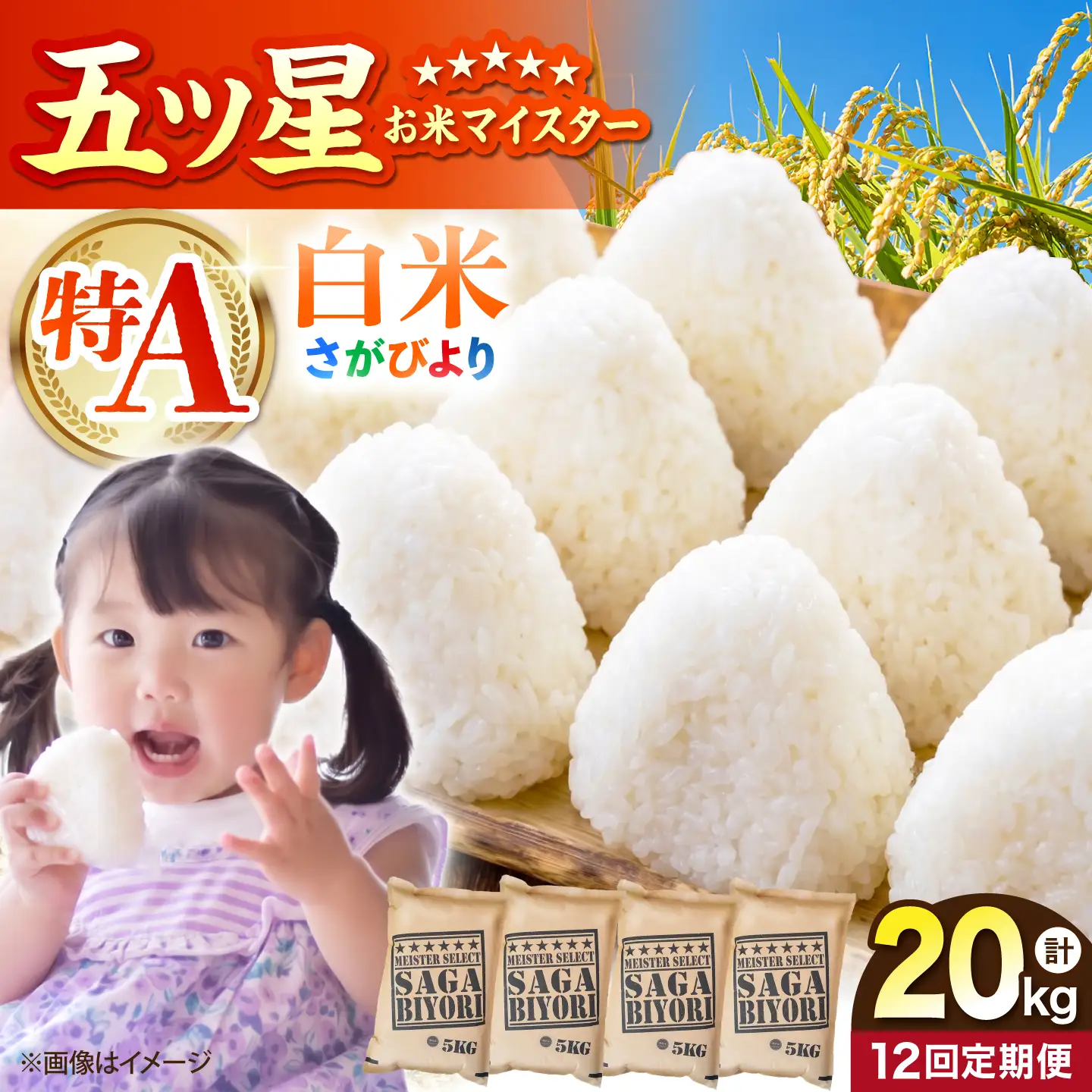 【全12回定期便】さがびより 白米 20kg（5kg×4袋）【五つ星お米マイスター厳選】特A米 特A評価[HBL127]