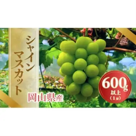 《2026年発送》岡山県産シャインマスカット 600g以上1房入【配送不可地域：離島・北海道・沖縄県】【1736764】