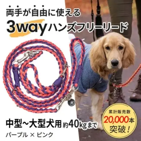【犬用】3WAYハンズフリーリード(中型～大型犬用)パープル×ピンク【ゴールデンママ】【配送不可地域：離島・沖縄県】【1743319】