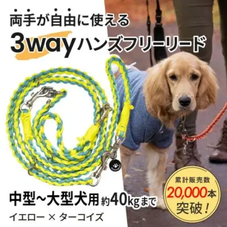 【犬用】3WAYハンズフリーリード(中型～大型犬用)イエロー×ターコイズ【ゴールデンママ】【配送不可地域：離島・沖縄県】【1743321】