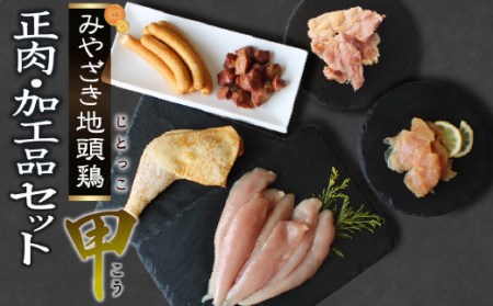 宮崎ブランド みやざき地頭鶏加工品・正肉セット(甲)