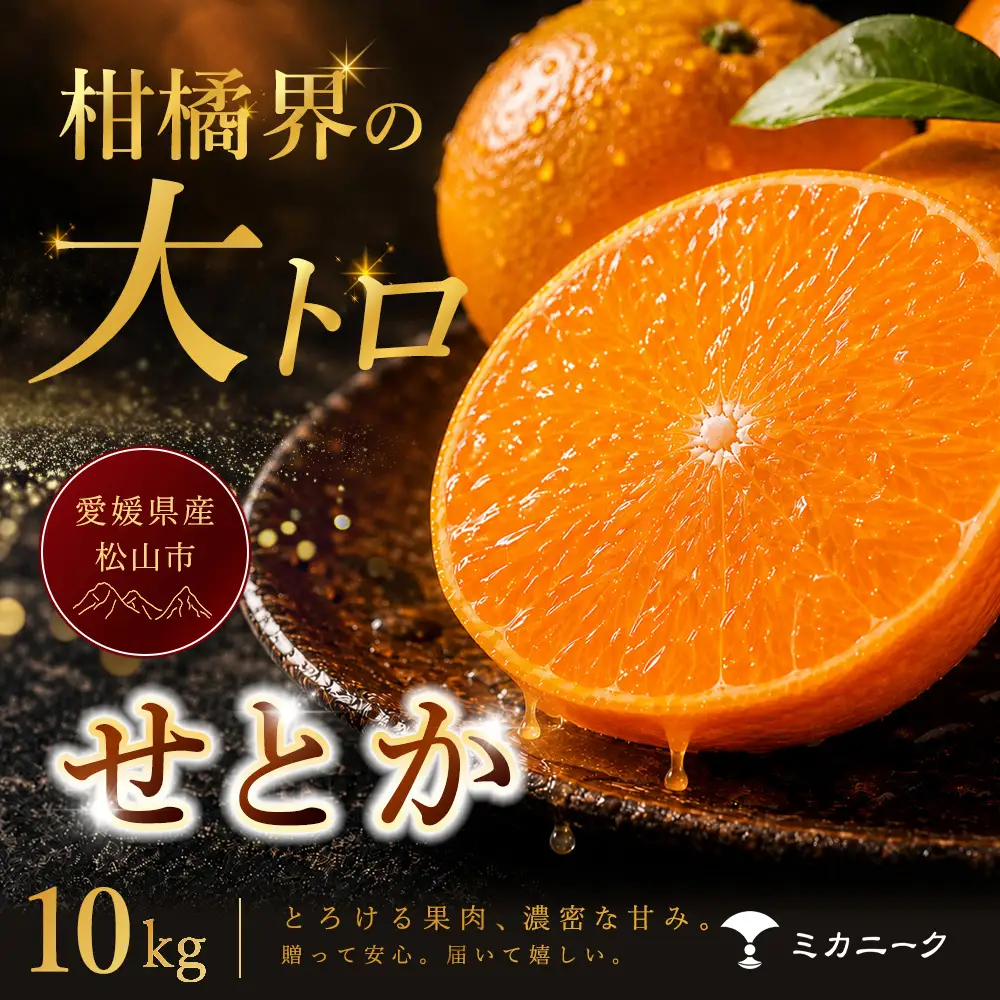 せとか 家庭用 10kg 【2027年2月中旬頃から順次発送】 | みかん ミカン mikan 蜜柑 訳ありフルーツ 柑橘 果物 おすすめ 高級 お勧め 愛媛三大高級柑橘 ( 紅まどんな せとか 甘平 ) お取り寄せ ギフト 愛媛県 松山市 【MKN0201】