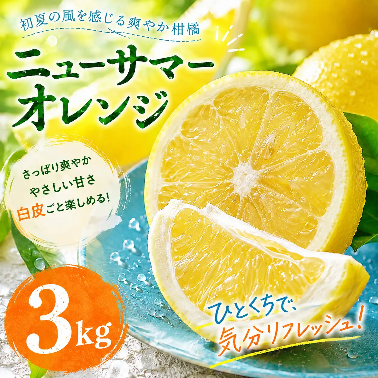 ニューサマーオレンジ 家庭用 3kg 【2027年4月中旬頃から順次発送】 | みかん ミカン mikan 蜜柑 訳ありフルーツ 柑橘 果物 おすすめ お勧め お取り寄せ ギフト 愛媛県 松山市 【MKN022】